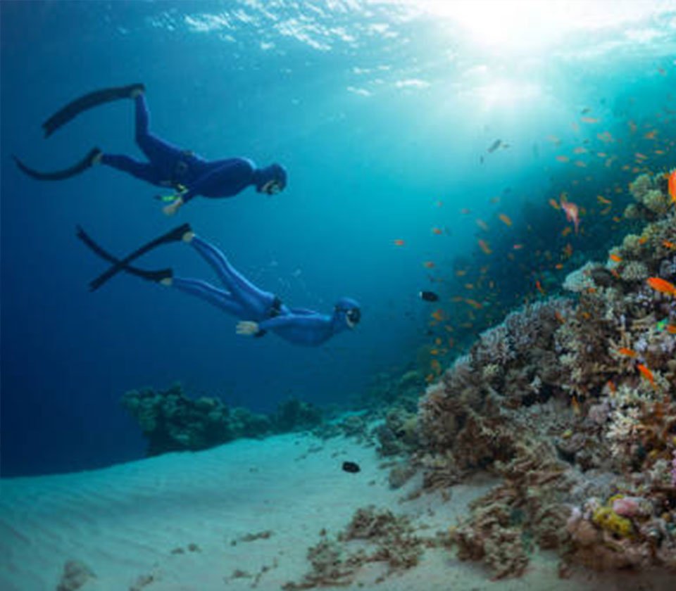 Diving and Snorkling